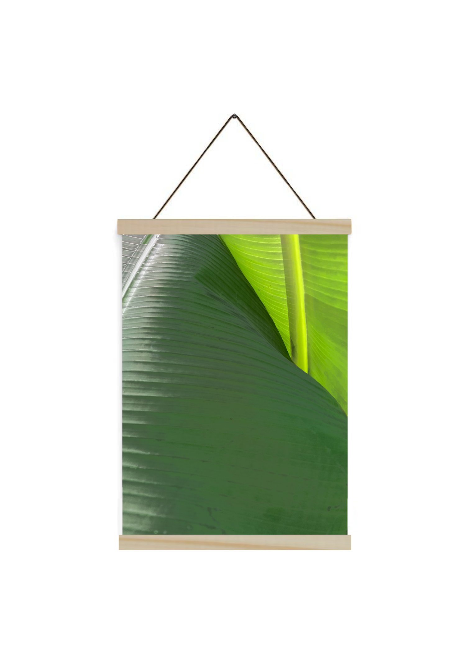 BANANA LEAF