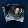 Pack of 5 Christmas / Yule Cards by Glitter and Earth