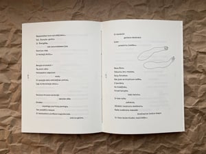 Šarūnas Šimulynas ŽVAIGŽDĖ /// VELIUONOS ŽVAIGŽDĖ