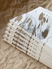 Image 2 of Šarūnas Šimulynas ŽVAIGŽDĖ /// VELIUONOS ŽVAIGŽDĖ