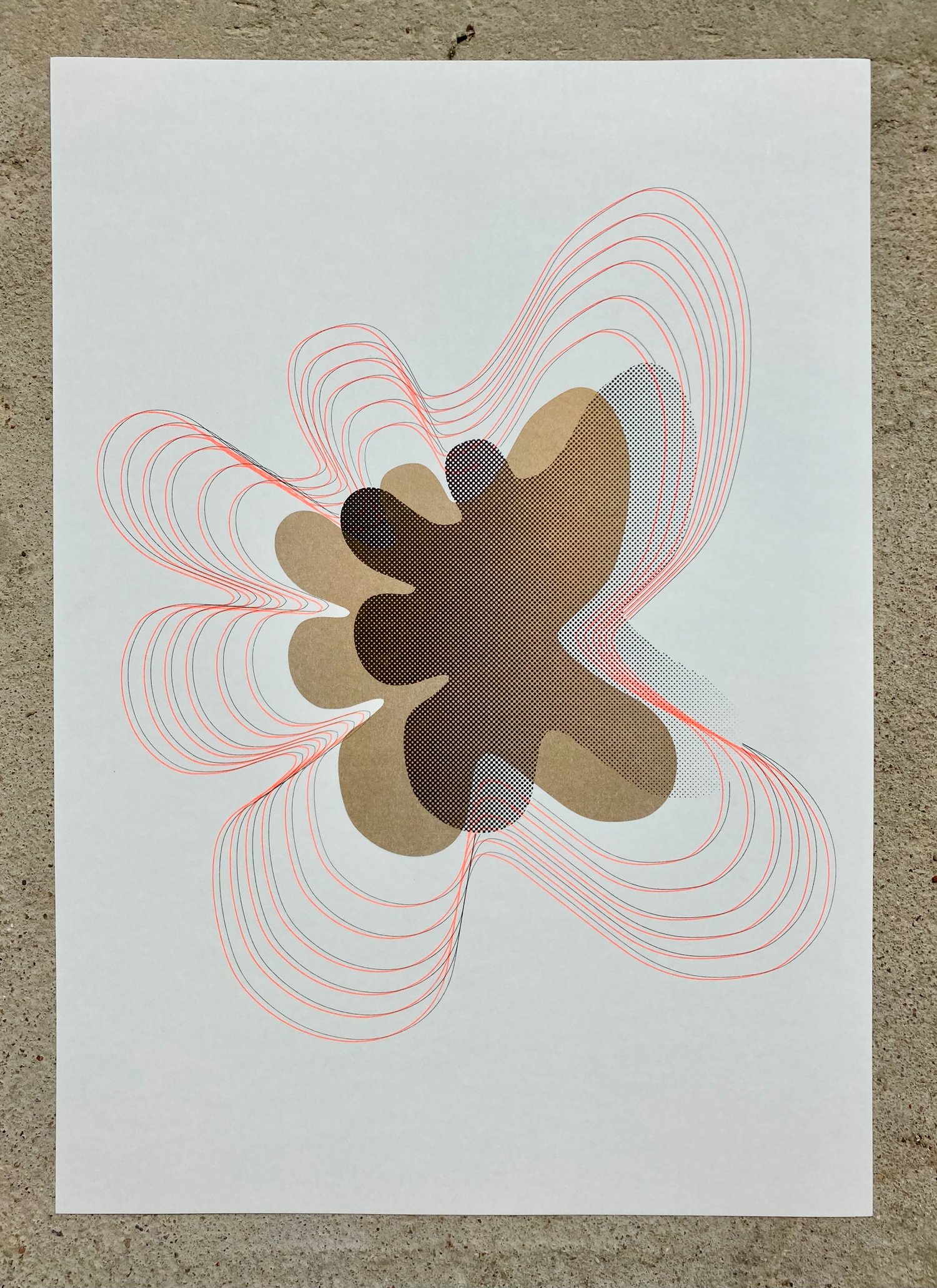 motion #2