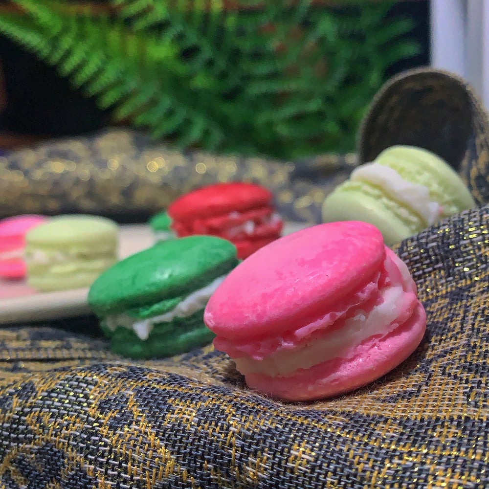 Image of Macaron Wax Melts