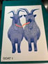 Silly Billies - The unexpected blue goat seconds Image 2