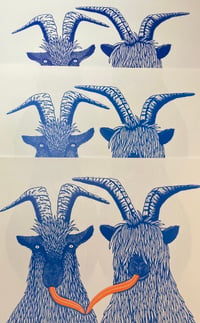 Image 1 of Silly Billies - The unexpected blue goat seconds