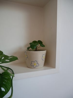Image of Daisy Pencil Plant Pot