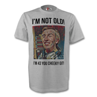 Alan Partridge I'm 43 You Cheeky Git Grey T-Shirt
