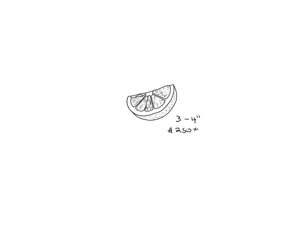 Image of Lemon wedge
