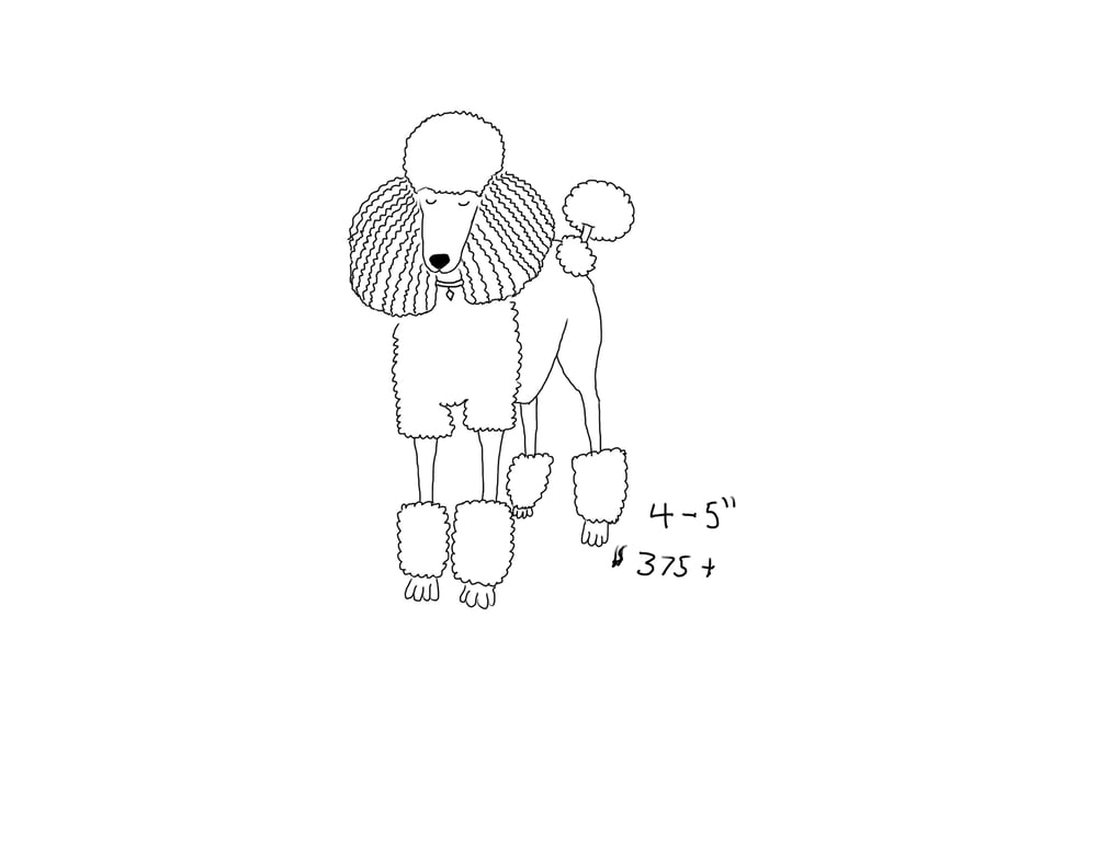 Image of Poodle