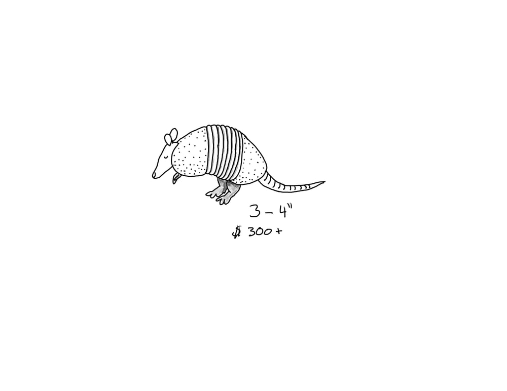 Image of Armadillo 
