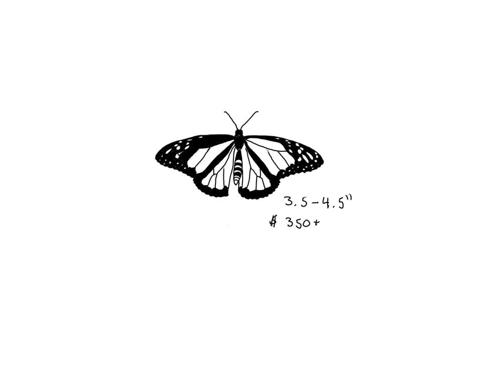 Image of Butterfly