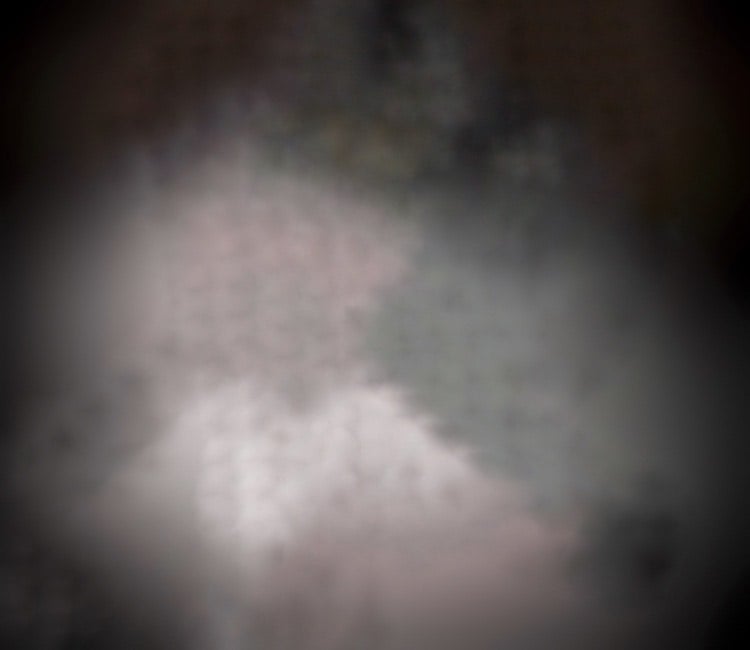 Numbered Limited December Drop Crewneck 