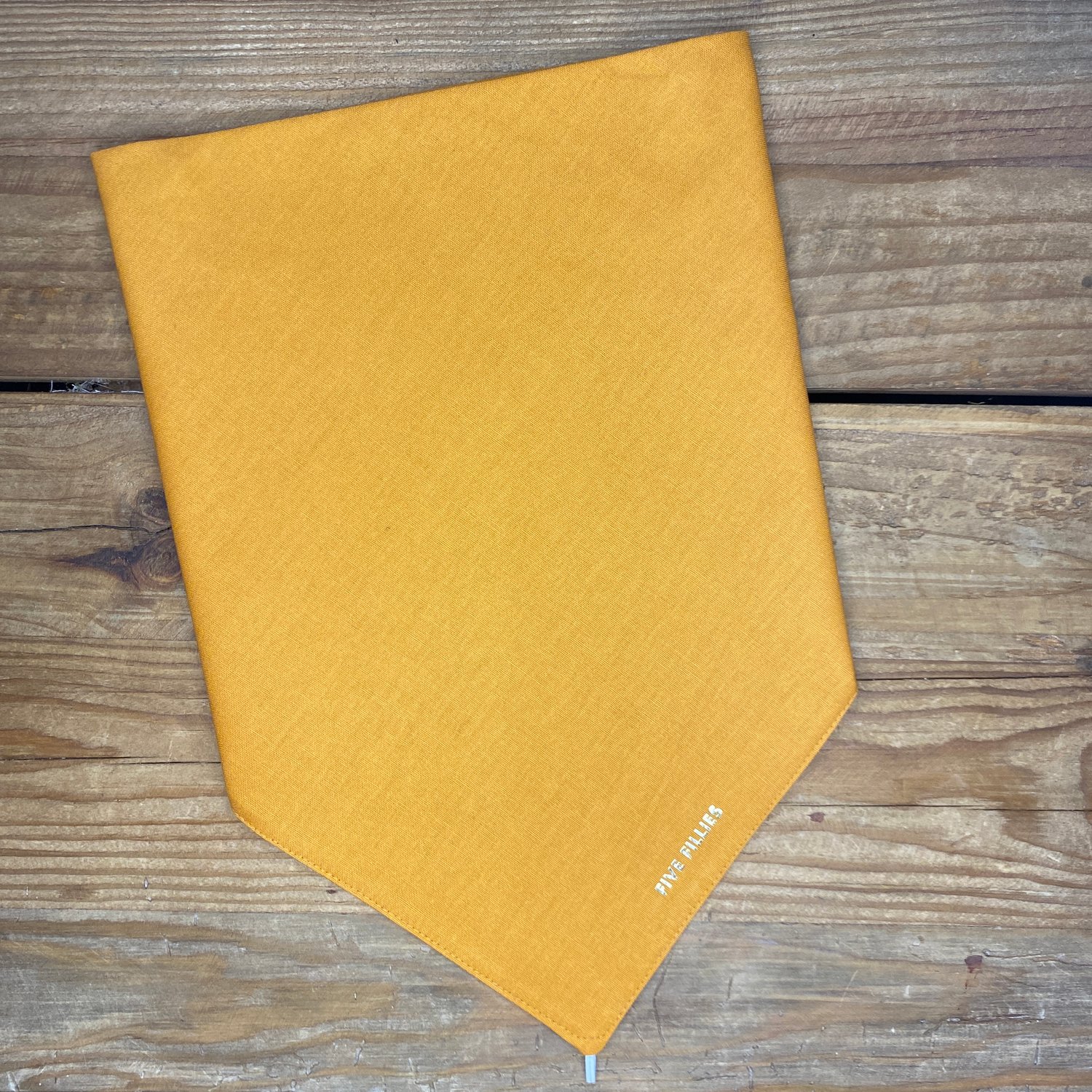 Image of Plain Jane Butterscotch Scarf