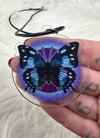 Necklace (Mountain blue butterfly)