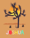 Joshua Tree