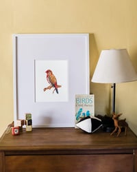 Image 3 of Strawberry Finch Red Bird Watercolor Illustration PRINT 