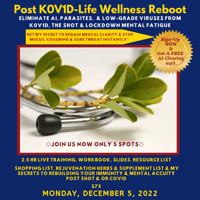 Post K0v1d-Life Wellness Re-Boot Master Class Video