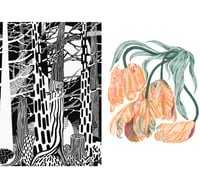 Image 1 of TULIP + FIR FOREST 400x500 mm print