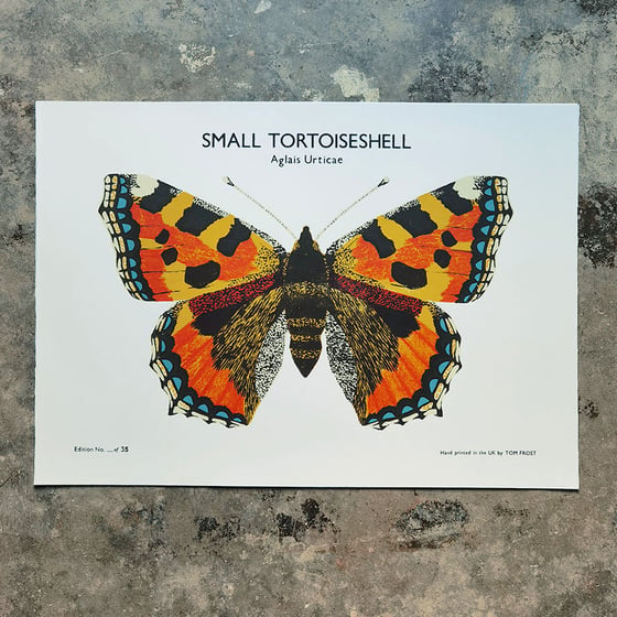 Image of Small Tortoiseshell