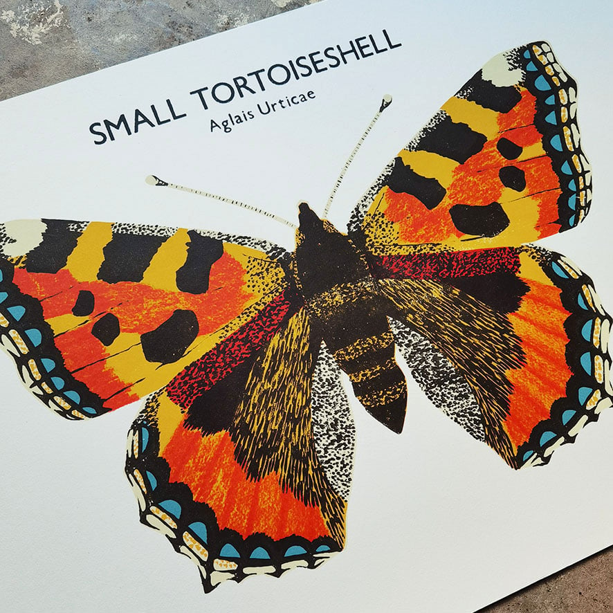 Image of Small Tortoiseshell