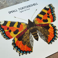 Image 2 of Small Tortoiseshell