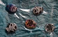 Image 2 of Fishies!