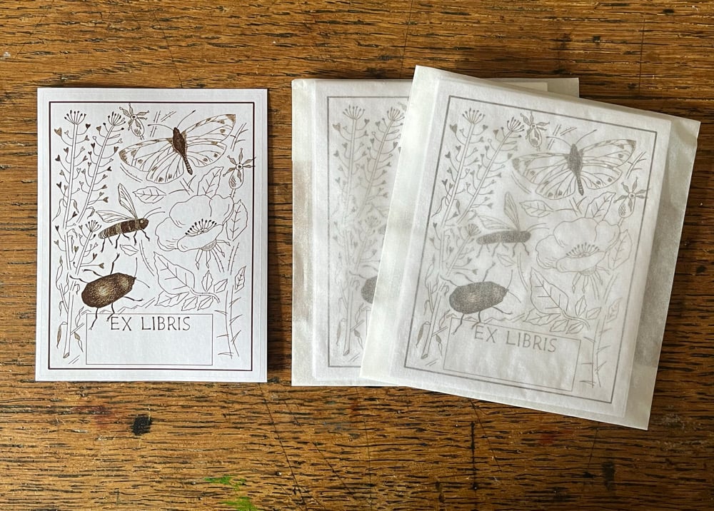 Image of Bookplate pack, sepia 