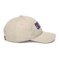 Image 3 of TRICK THE DEVIL CAP