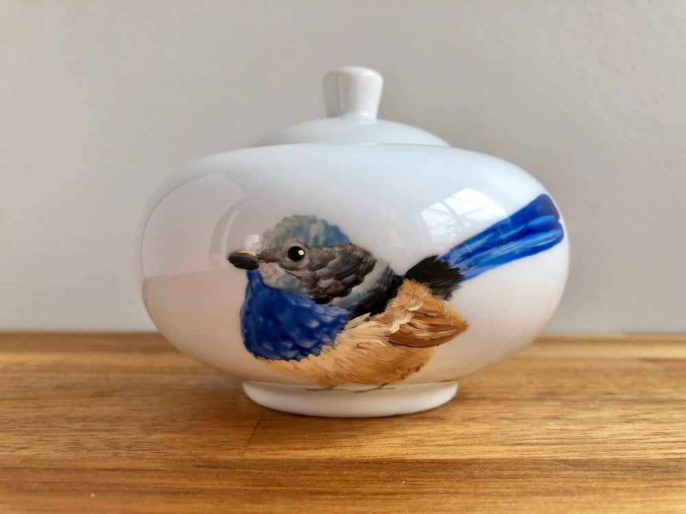 Superb Fairywren Sugar Pot