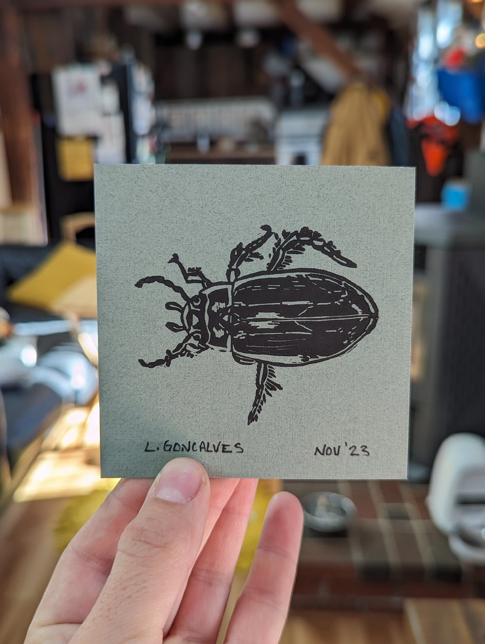 Image of Predaceous Diving Beetle print - 3.5"