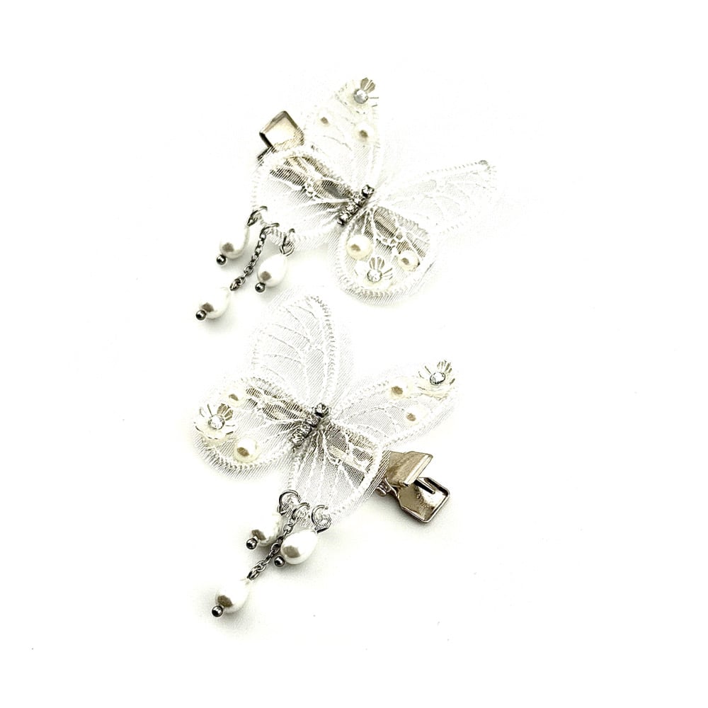 Image of Spectral Clips