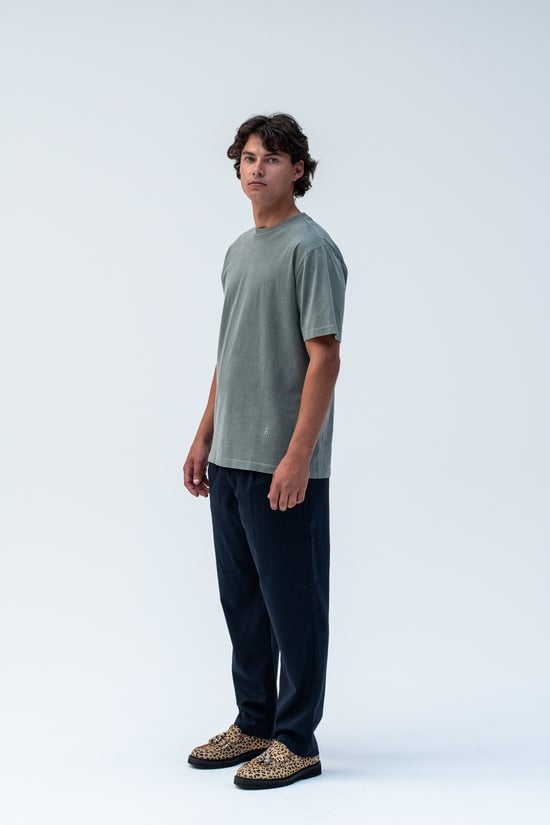 Image of TACHO RADJA FROG