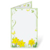 Daffodil Delight Programs