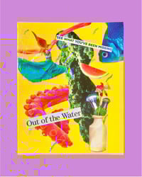 Out of the Water
