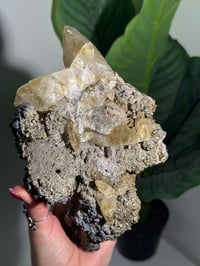 Image 8 of XXL SWEETWATER CALCITE WITH PYRITE -MISSOURI- PORCUPINE POCKET 2025 B