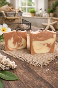 Hawaiian Honeysuckle