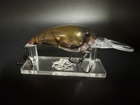 Image 1 of RC 55 PbBnJ Phantom