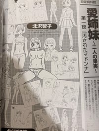 Image 4 of Adult Anime Encyclopedia & Guide Book 2