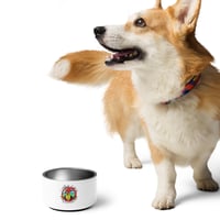Image 3 of Slurp Lord Pet bowl