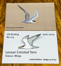 Image 1 of Lesser Crested Tern - No.115 - UK Birding Pins - Enamel Pin Badge