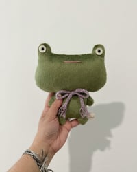 Wide Eye Froggie