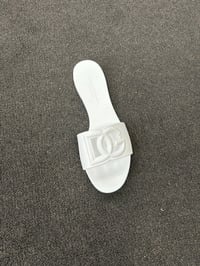 Image 2 of DG slides