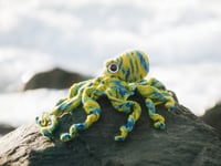 Blue Ring Octopus 