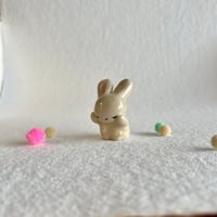 Image 5 of Bunny Washing #2