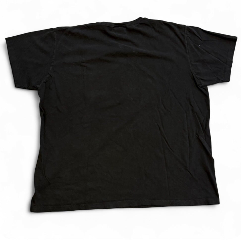 Image of 2000s Tennage Muntant Ninja Turtles Promo Graphic Tee (XL)