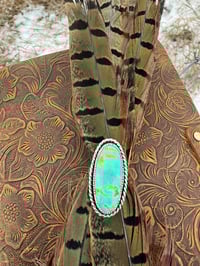 Image 4 of The Wild Mesa