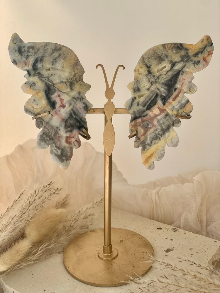 Image of Crazy Lace Agate Wings (with stand) 