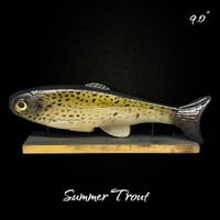 Image 1 of Roma Trout - Summer Trout