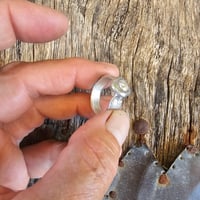 Image 5 of Classic Sparkle, US 6