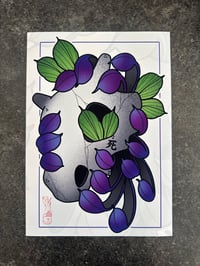Image 2 of Cubone Chrysanthemum [Purple Variant]