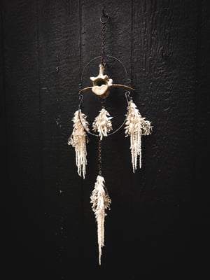 Image of Flora and Fauna Chandelier